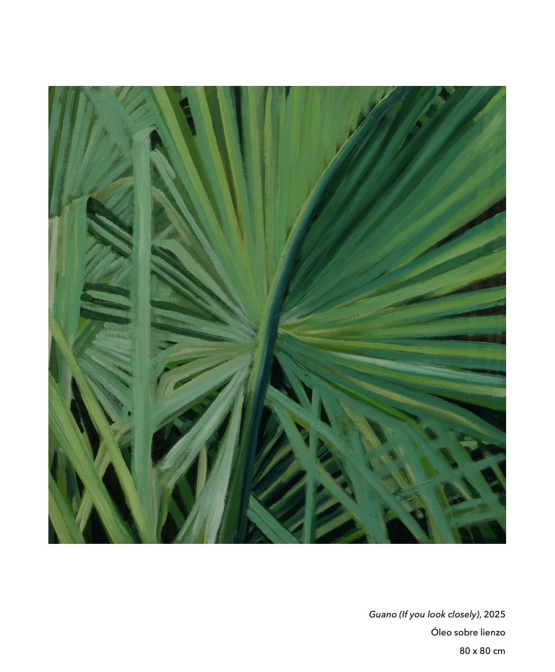 Jungle 19 